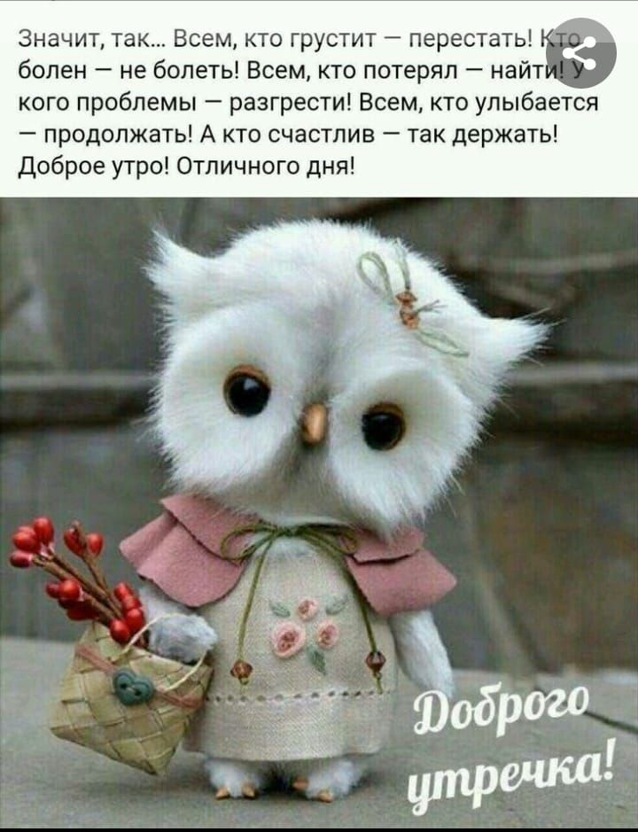 Значит так Всем кто грустит перестать болен не болеть Всем кто потерял наи кого проблемы разгрести Всем кто улыбается продолжать А кто счастлив так держать Доброе утро Отличного дня