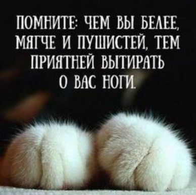 ПОМНИТЕі ЧЕМ ВЫ БЕАЕЁ МЯГЧЕ И ПУШИСТЕЙ ТЕМ ПРИЯТНЕЙ БЬГГИРВТЬ 0 ВАС НОГИ