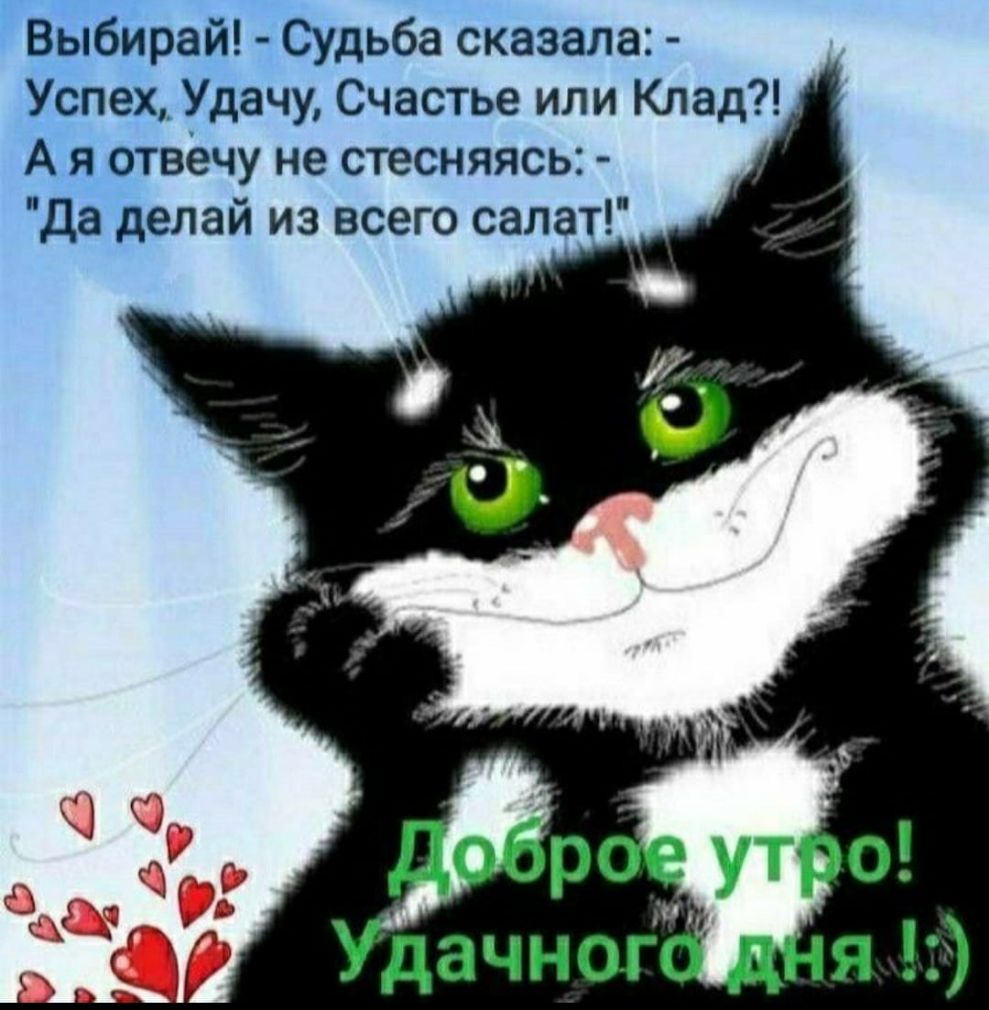 Выбирай Судьба сказала Успех Удачу Счастье или Клад А я отвечу не стесняясь Да делай из всего салат