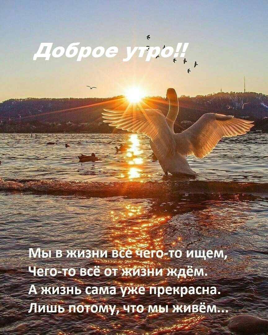красніа НЙ ь тб Уэгачюиьы жи