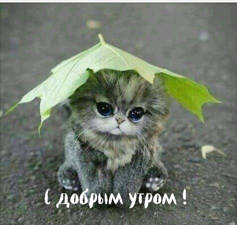 14 г _ _ Ёбёёым утррм