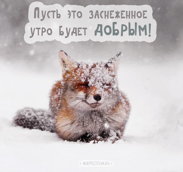 Пусть это змнгжшног утро БУДЕТ дОБРЫМ Ё під