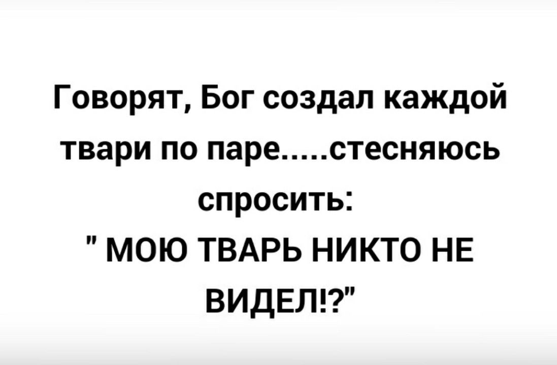 Говорят Бог создал каждой твари по паре стесняюсь спросить МОЮ ТВАРЬ НИКТО НЕ ВИДЕЛ