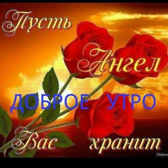 ас хранит
