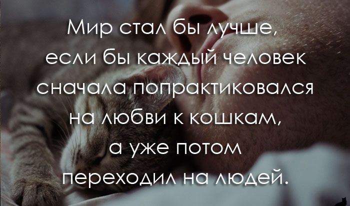 Мир ста еСАИ бы Ё сно слог овася Аюбви к кб ком а уже потом ереХОА