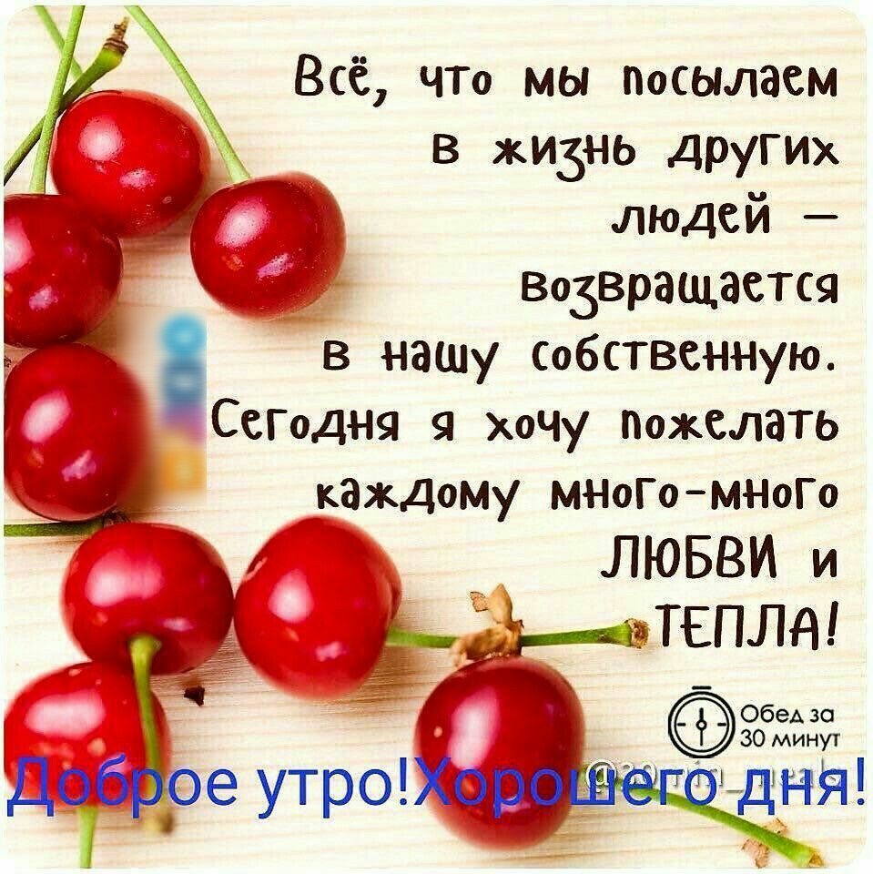 Всё ЧТо мы посылаем д В жизнь Других людей _ д возвращается в нашу собственную СеГодня я хочу пожелать каждому МНоГоМНоГо _ ЛЮБВИ И цапля Обед за 30 минут иди я