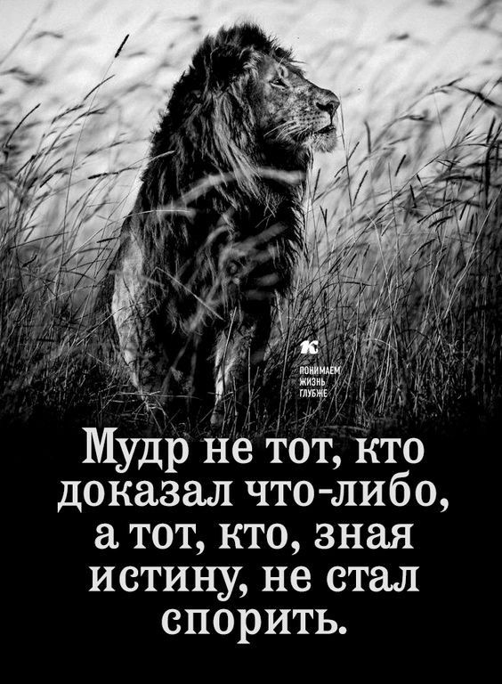 д а Мудр не тот кто доказал что либо тот кто зная истину не стал спорить