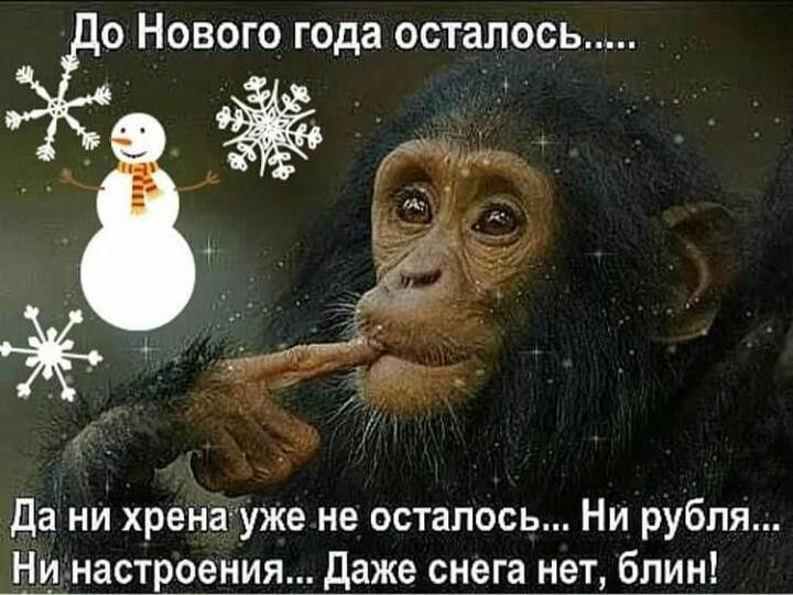 0 НОВОГО года ОСТЗЛОСЬ 56 Да ни хрена уже не осталось Ни рубля Ни настроения даже снега нет блин