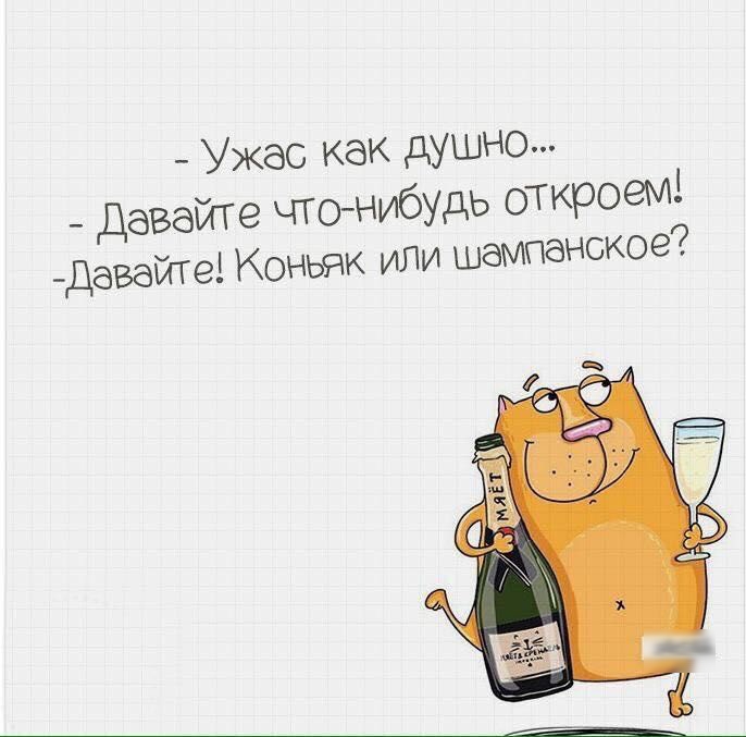 Ужас как душно Давайте чтонибудь откроем давайте Коньяк или
