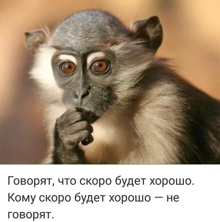 Говорят что скоро будет хорошо Кому скоро будет хорошо не говорят