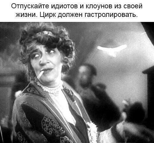 Отпускайте идиотов и клоунов из своей жизни Цирк должен гастролировать