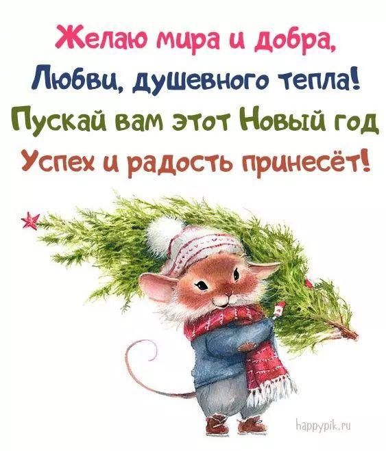 Желаю мира и добра Любви душевного тепла Пускай вам этот Новый год Успех и радость принесёт