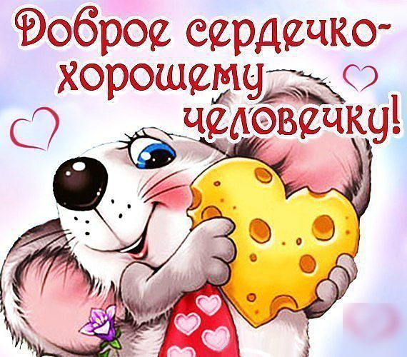 Оброе сердечко хорошедцдъо чщхвечкч