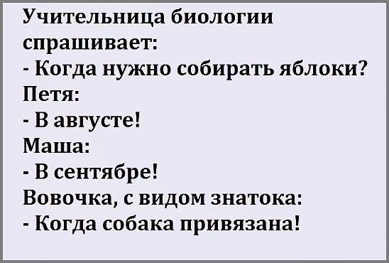 Учительница биологии спрашивает Когда нужно собирать яблоки Петя В августе Маша В сентябре Вовочка с видом знатока Когда собака привязана