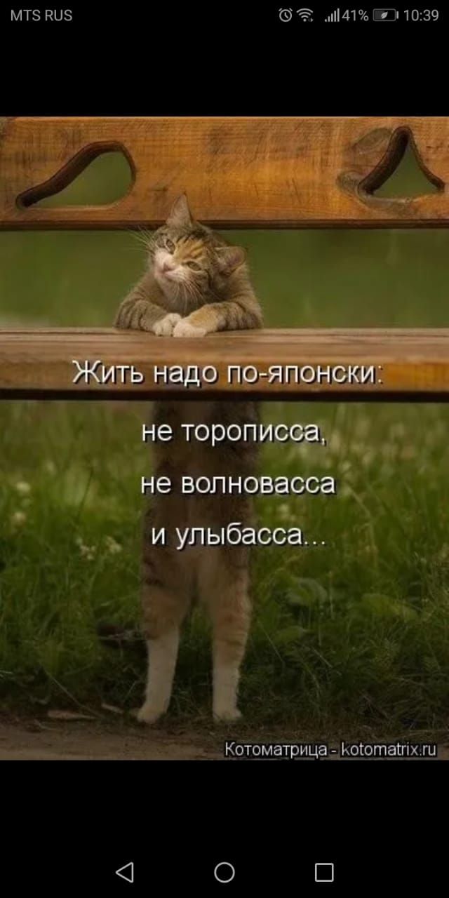 МТЗ КЦЗ 41 ШП 1039 не торт 191 не вопновецса и удыбасса П _ йъКотоматрица Коготатгіхш гщ