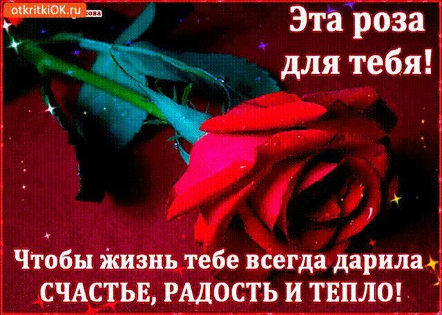 4 Этйроза4 Т_для тебя Чтвбы жизнь тебе всегда дариши СЧАСТЬЕ РАДОСТЬ и ТЕПЛО
