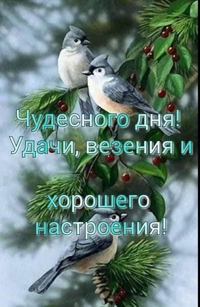 ДМВ Зенщй и