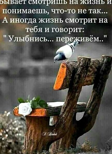 зывает смотришь на жизнь и снимаешь что тр не так иногда жизнь ейотрит на бя И говорит лыёнись 11