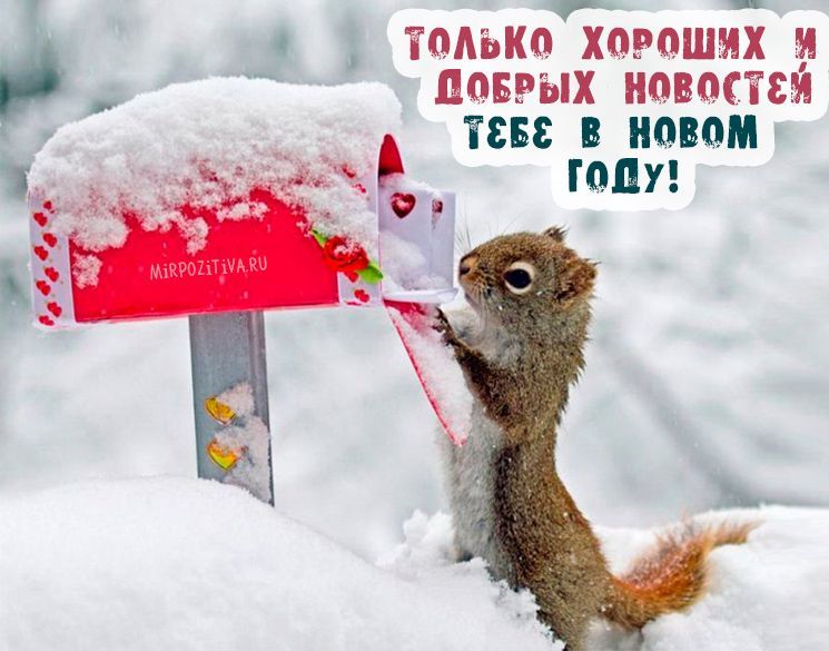 поврых новости тава в имамы шт _ толькойэошй и