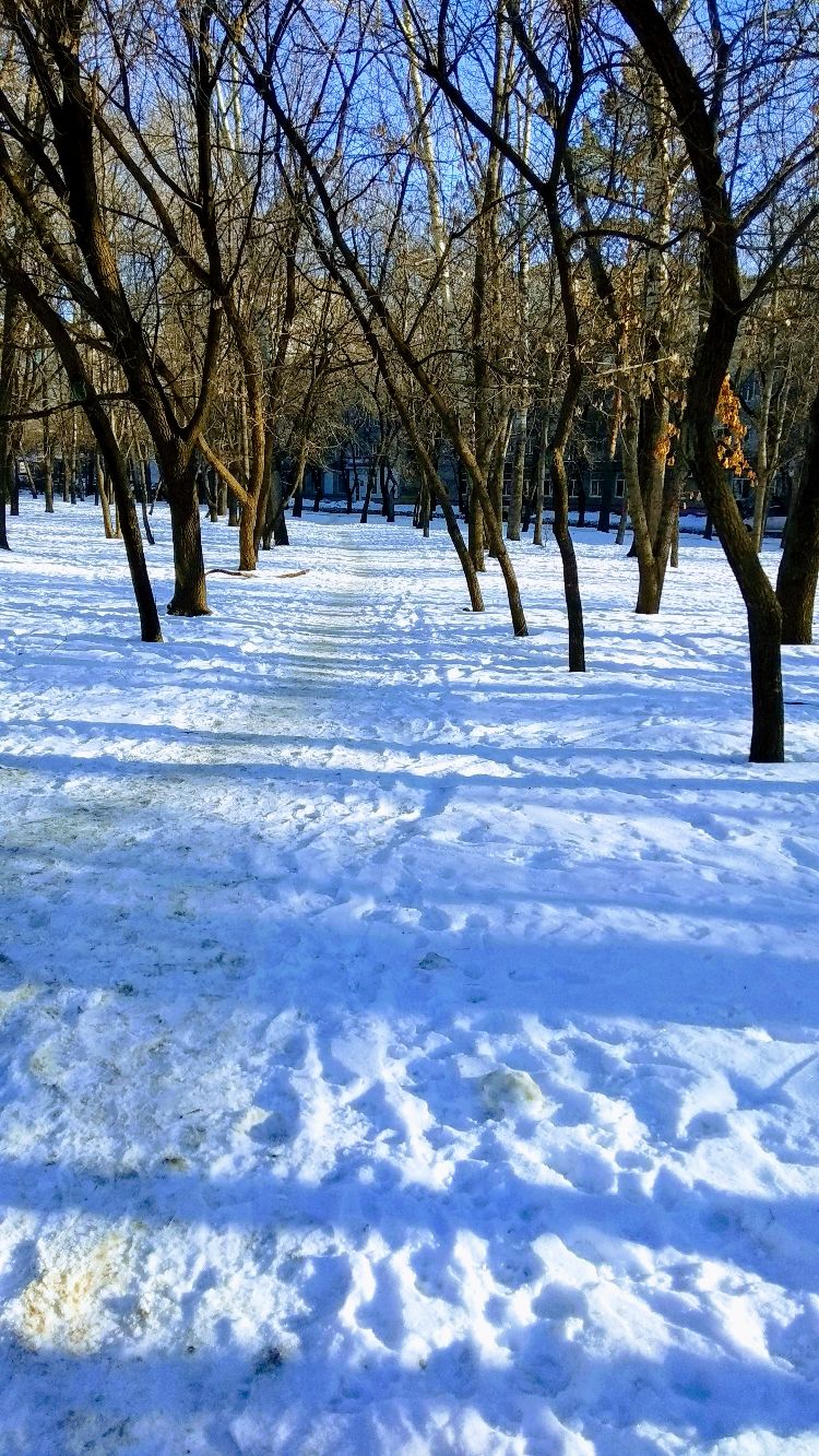 Ь
