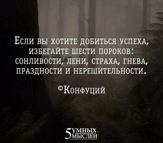 СОНЛИВШ ПРАЗДНОСТИ Конфуций УМ_НЫХ мышки