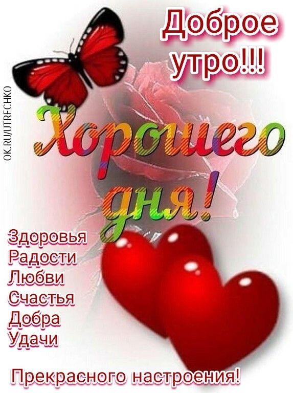 ОКЧЦЦТЕЕСНКО шви Раджи До 6 в и жаэтря