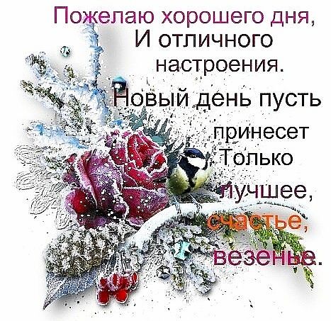 Пожепаю хорошего дНЯ И отличного настроения ьійдень пусть