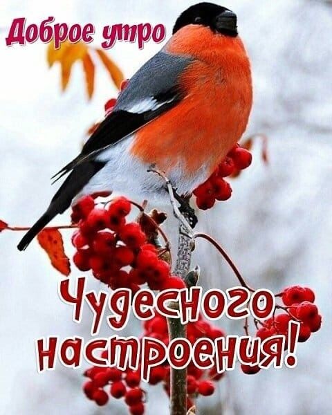 Дабразе А