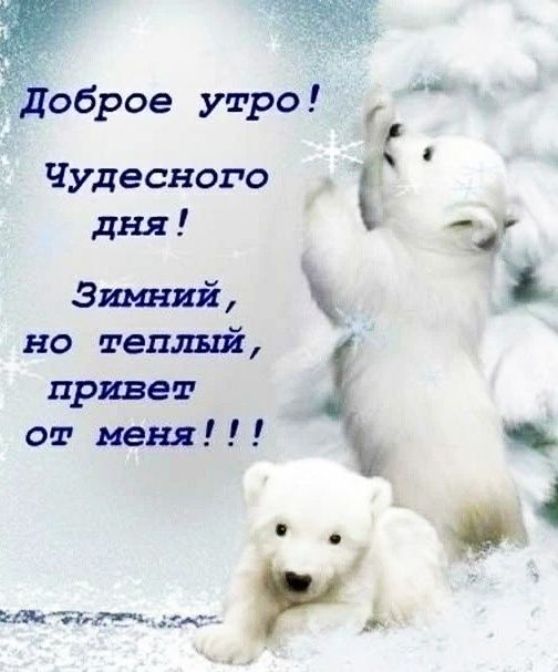 пдоброе утро Чудесного дня Зимний но теплый привет от меня