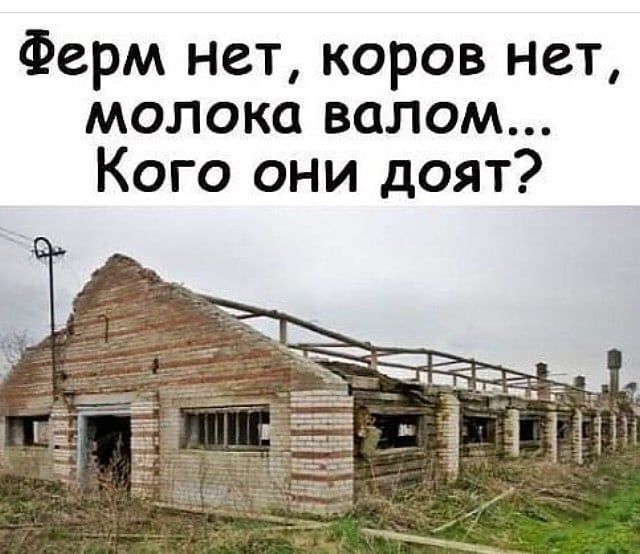 Ферм нет коров нет молока валом Кого они доят