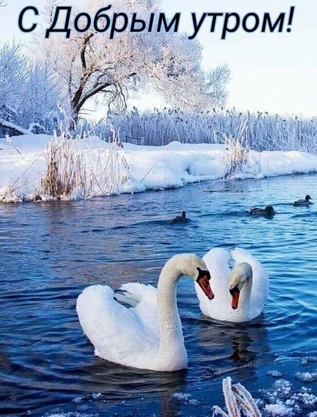 С д_бРЪім утром Я