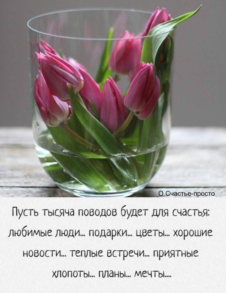 Счастье просто Пусть тысяча поводов будет для счастья любИМые люди подарки цветы хорошие НОВОСТИ ТЕПЛЫЕ ВСТРЕЧИ приятные ХПОПОТЫ ППдНЫ МЕЧТЫ