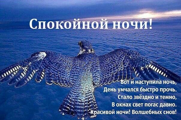 день умчапся быстро прачь гало звёзд и темно В окнах свет погас давно