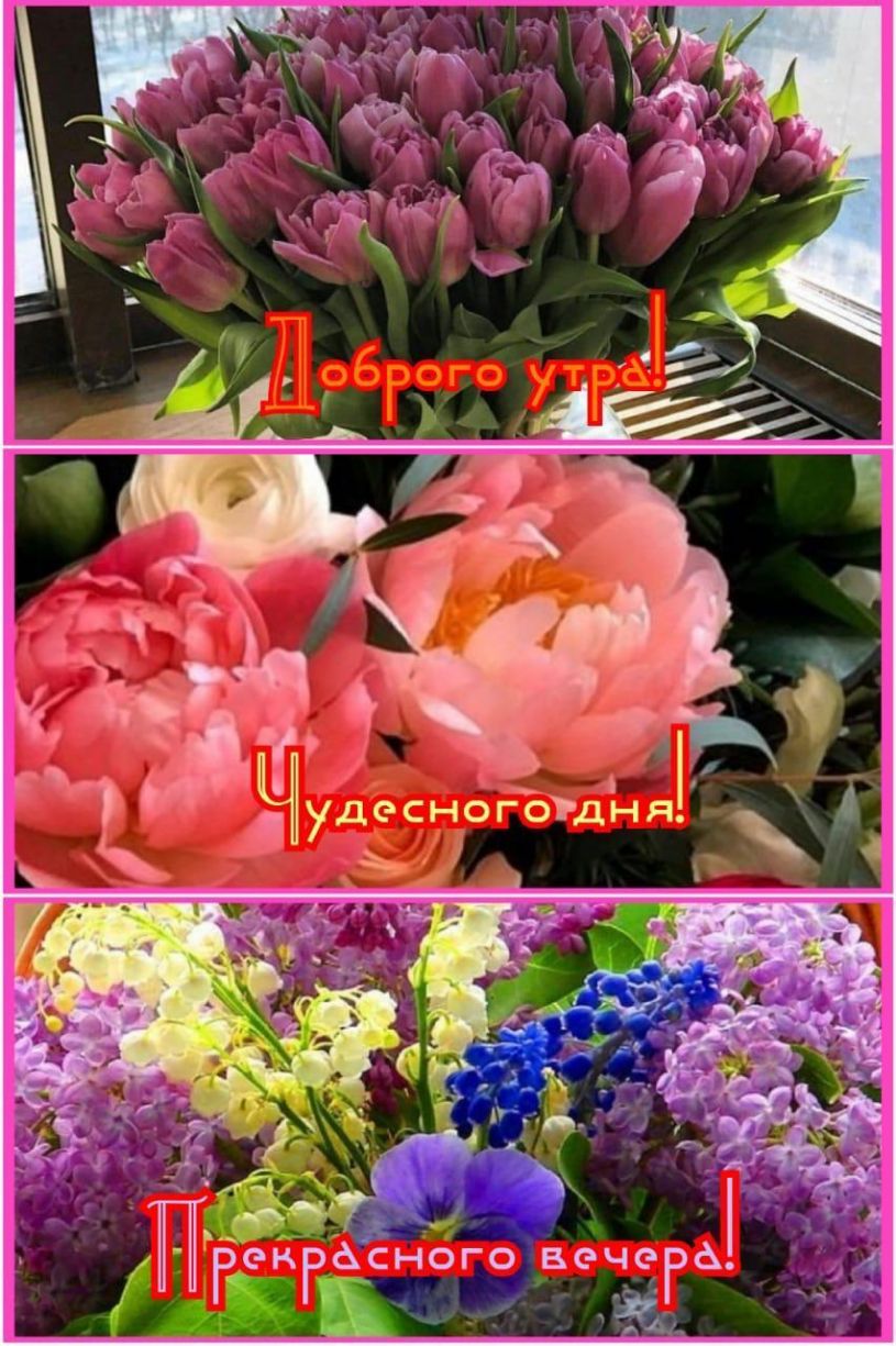 удесноготдня 1 Г 4 Ренгёсного _ве че а г Ад