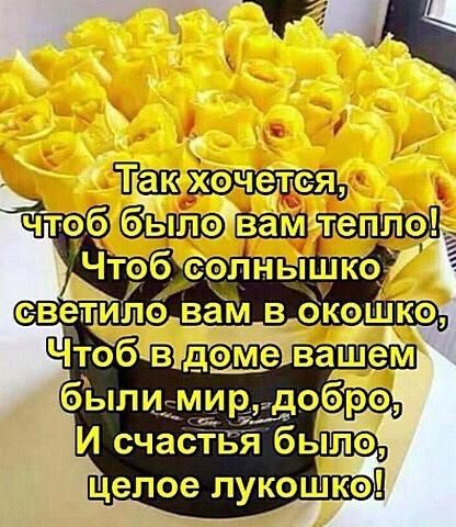 Таки Сии ебсопнь чт эбб И счастБя была целое лукошко