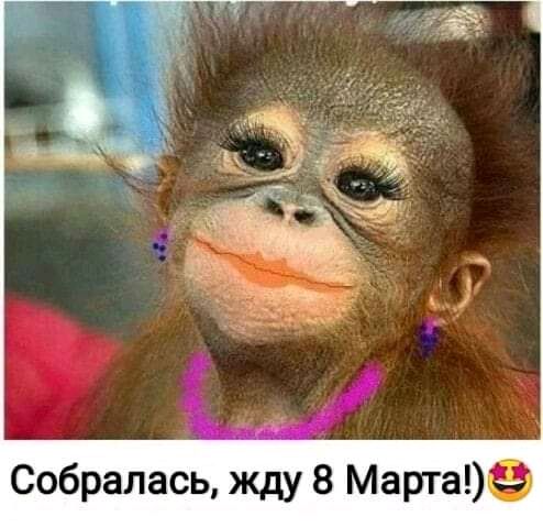 Собралась жду 8 Марта