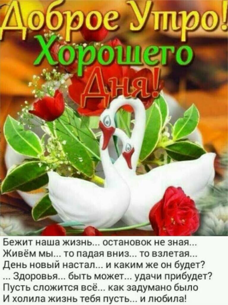 Бежит НЗШЭ ЖИЗНЬ ОСТЭНОВОК не зная Живём мы то падая вниз то взлетая День новый настал и каким же он будет Здоровья быть может удачи прибудет П сть сложится всё как задумано было И па жизнь тебя пусть и любила