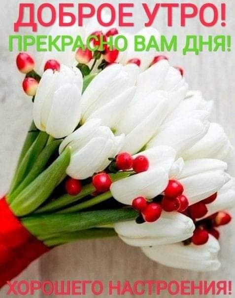 прекрёао ВАМ дняч