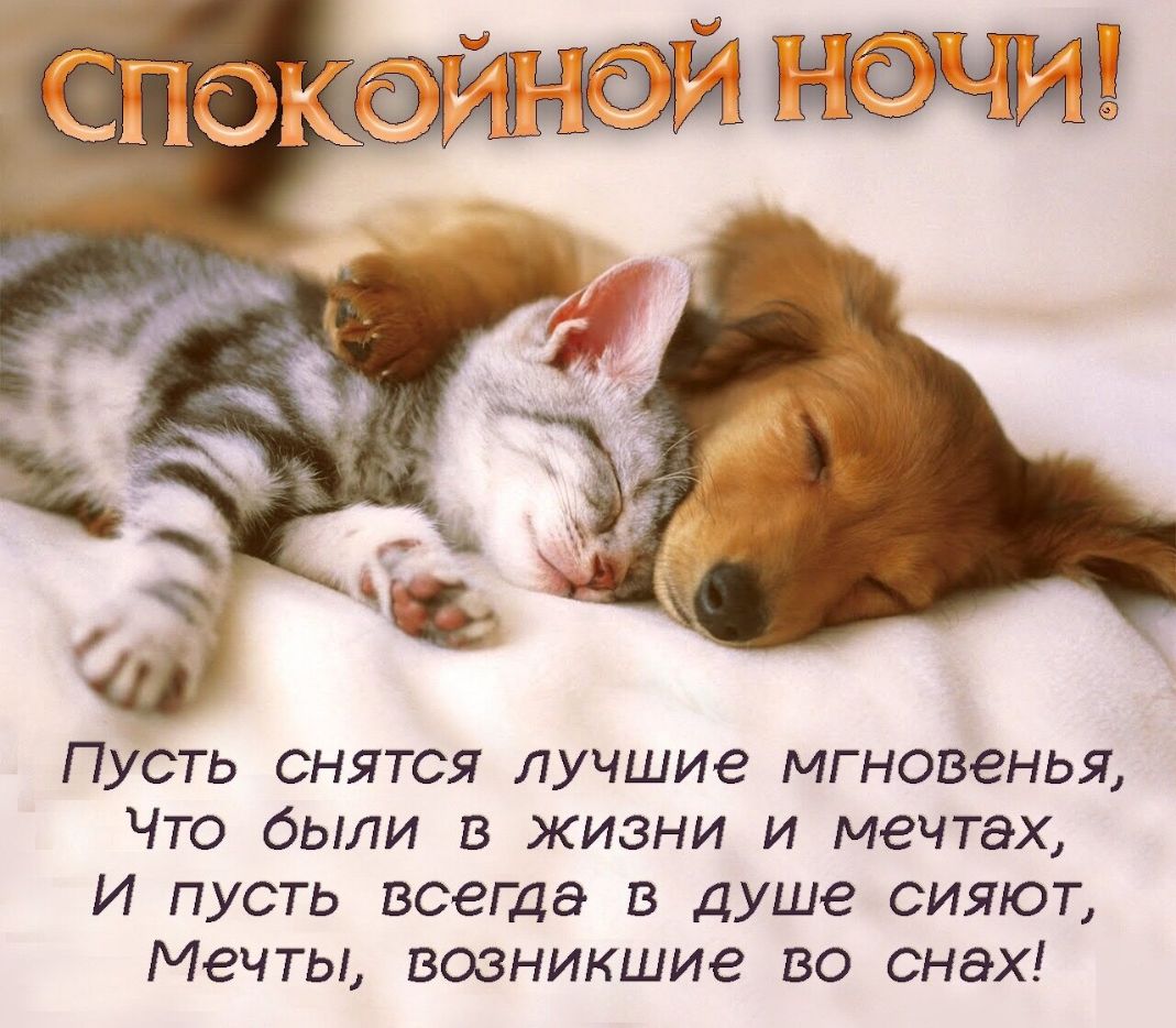 Пусть снятся лучшие мгновенья Что были в жизни и мечтах И пусть всегда в душе сияют Мечты возникшие во снах