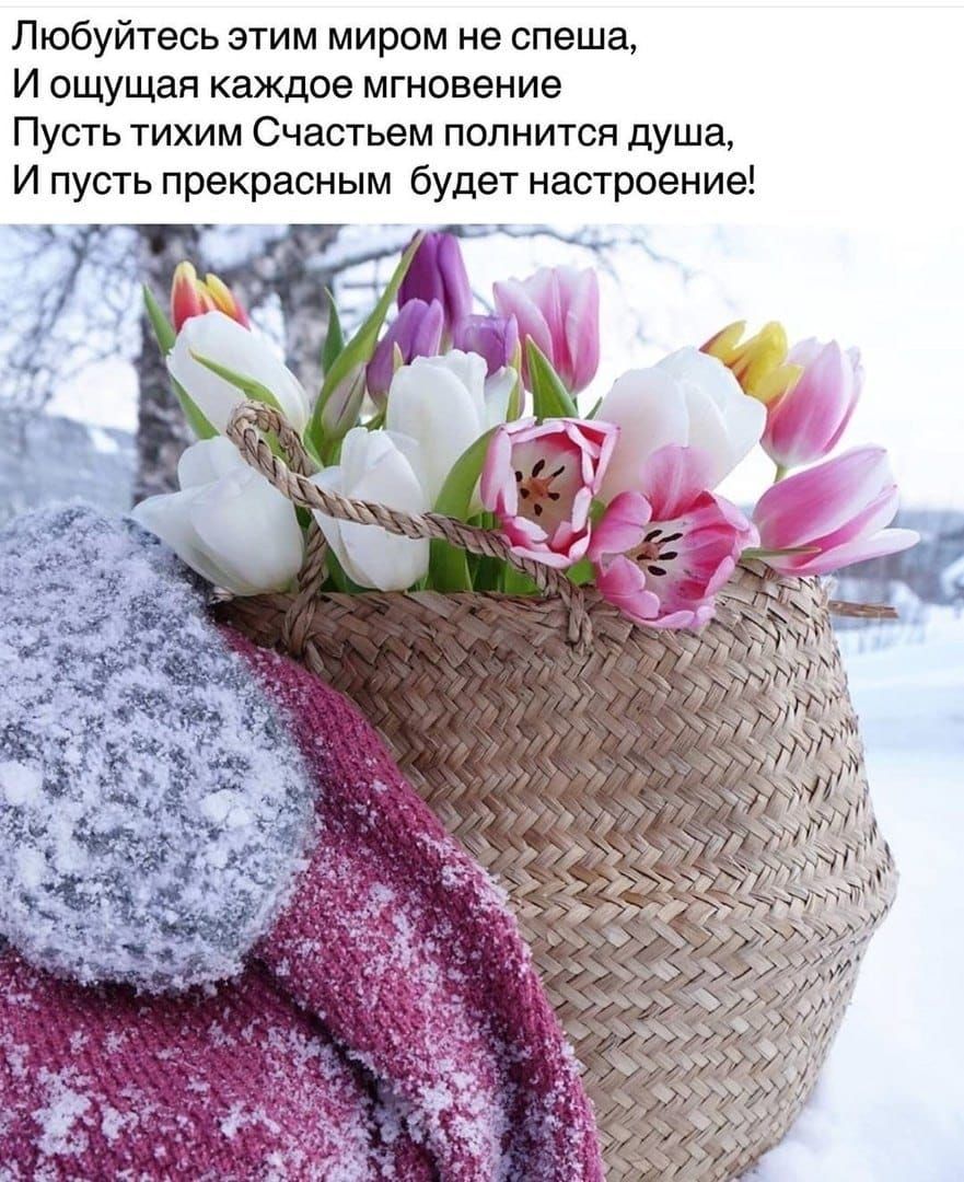 Любуйтесь этим миром не спеша И ощущая каждое мгновение Пусть тихим Счастьем полнится душа И пусть прекрасным будет настроение С А