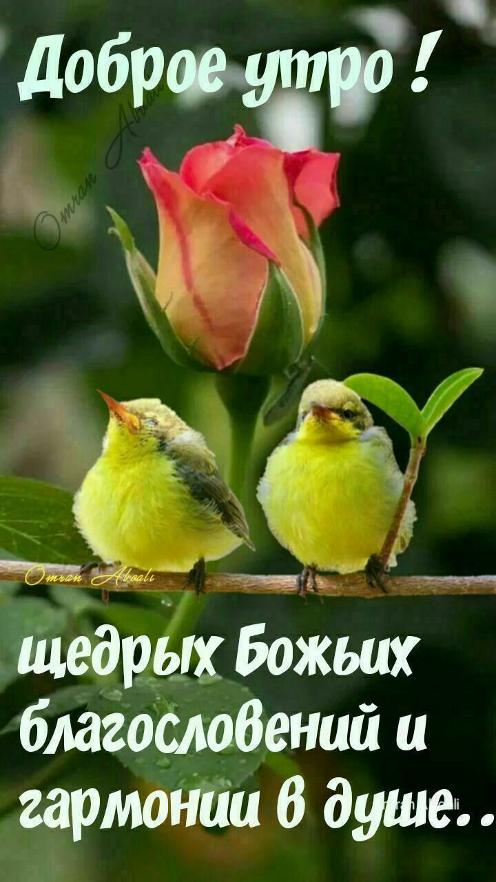 іЁедцёх Бож благоёлабений и гармотіи В душе ___