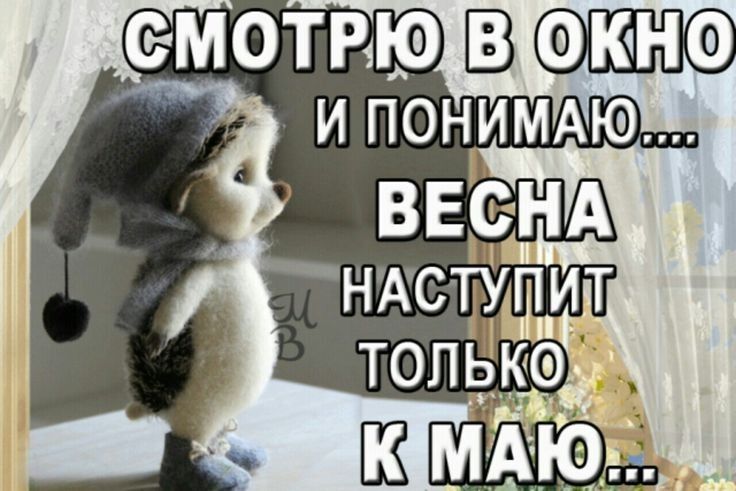 СМОТРЮ ВФ