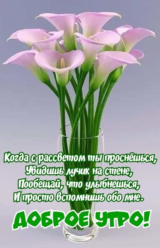 дает 91 го
