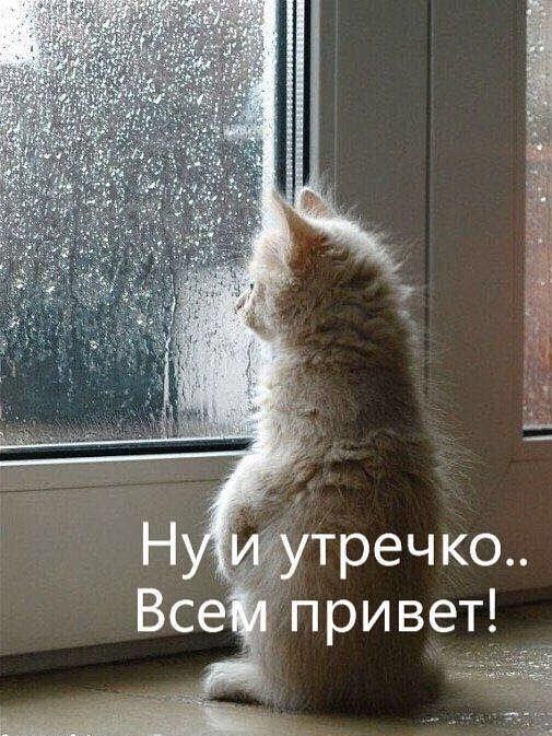 Все привет