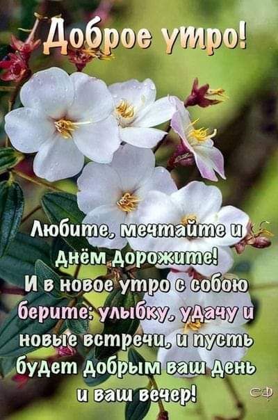 іідоброе 903