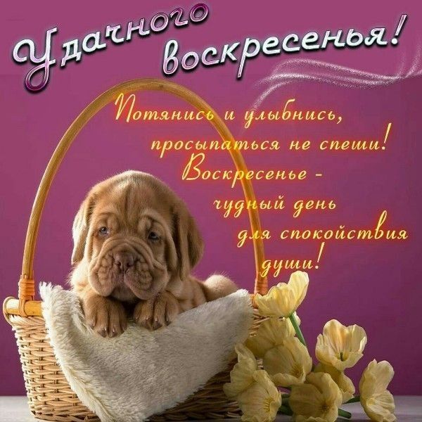 621160 17 ый ене а спокойстЖия