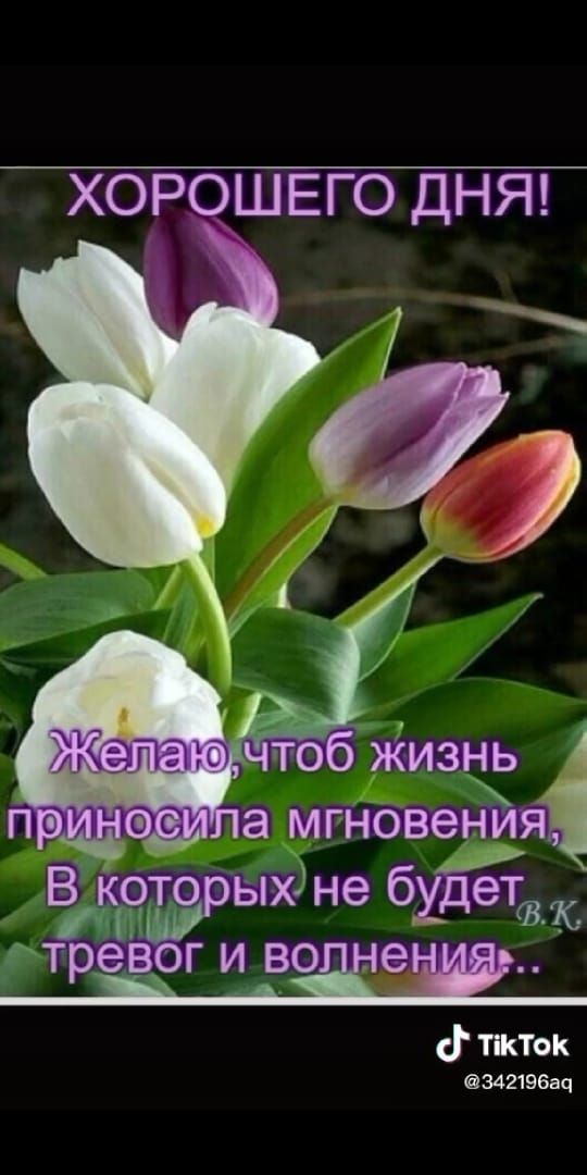ХОР ШЕГО ДНЯ д пкток мгтэеац