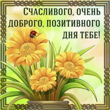 счАливогоГочш доврого позитивного т 35 _8 дня твоя 3 _ и д ъ