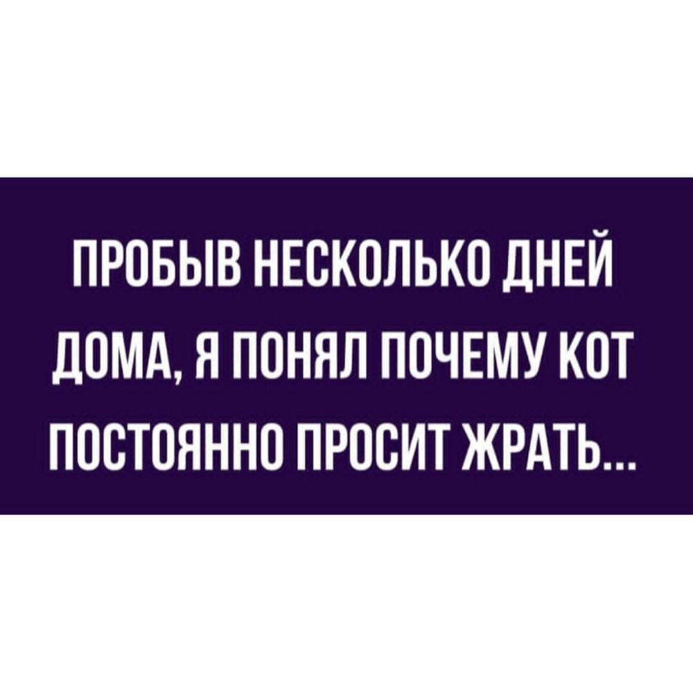 ПРОБЫВ НЕСКОЛЬКО ДНЕЙ дОМА Я ПОНЯЛ ПОЧЕМУ КОТ ПОСТОЯННО ПРООИТ ЖРАТЬ