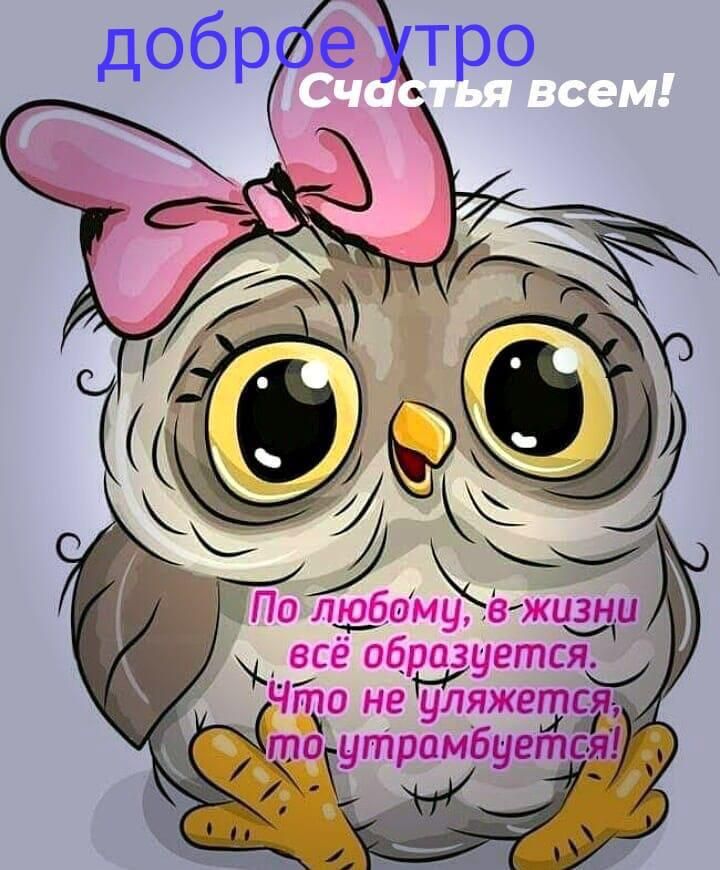 По лфомуёгжи3ди всё оброзуетсяы то не д _то утрамбуетсят _Ж Ё и 212 П _ _